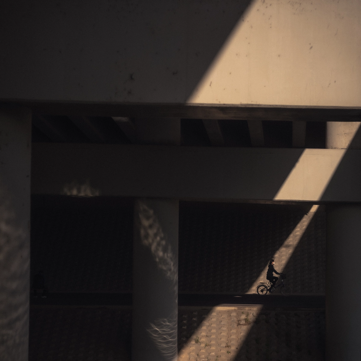 Sunlight Through Wooden Slats Interior